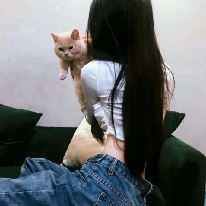 情来.算尽爱